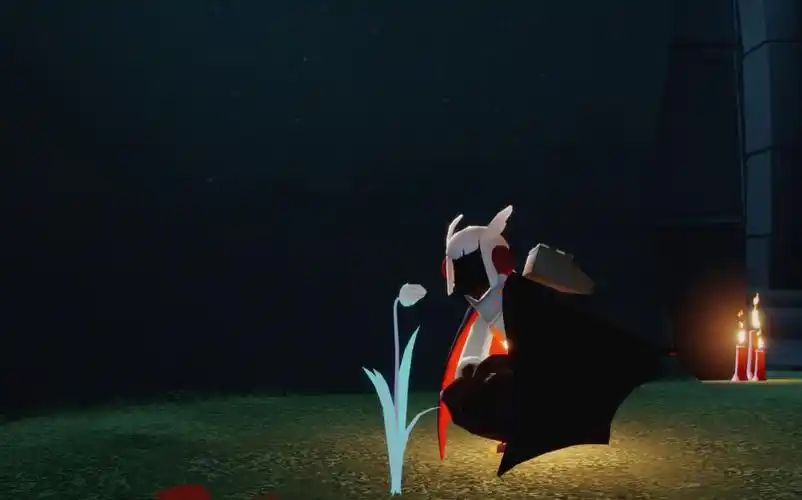 [sky光遇]白鸟也想要c.p啊