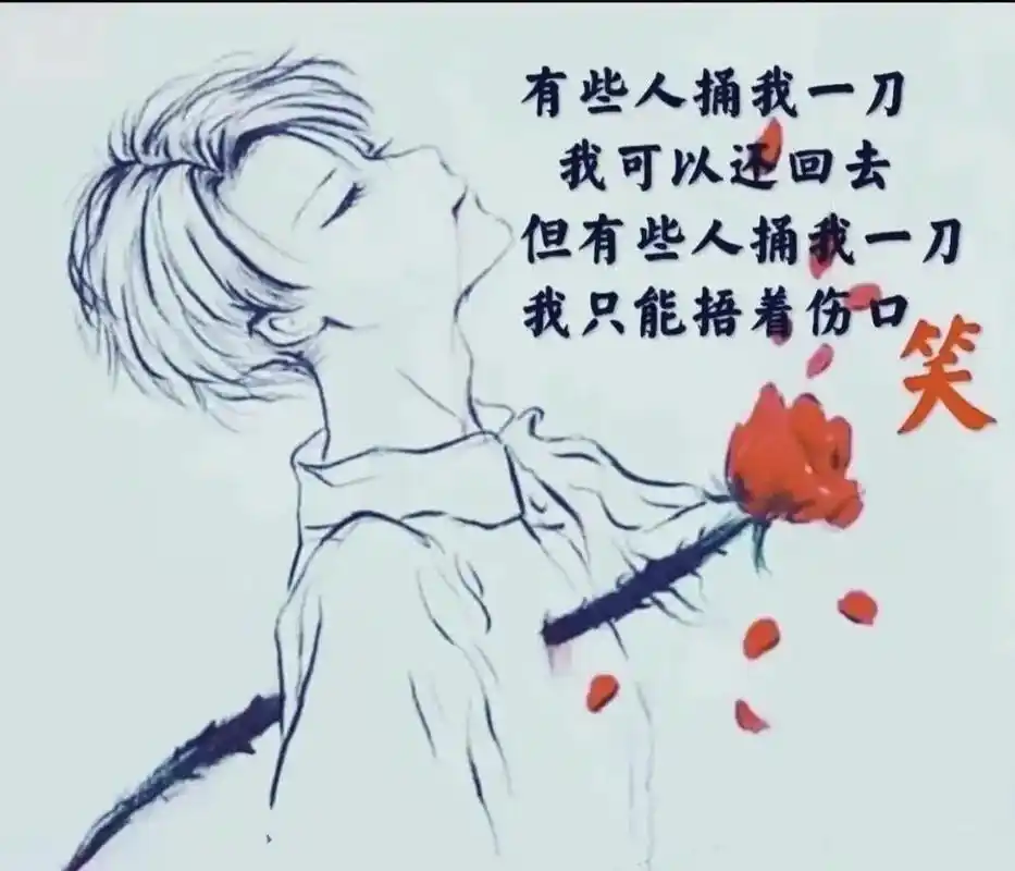 别害怕,我会慢慢从你的世界消失,我会把所有的错都归于我自己, - 抖音