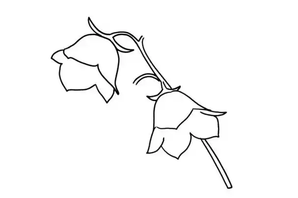 草的简笔画图片大全 - 简单简笔画