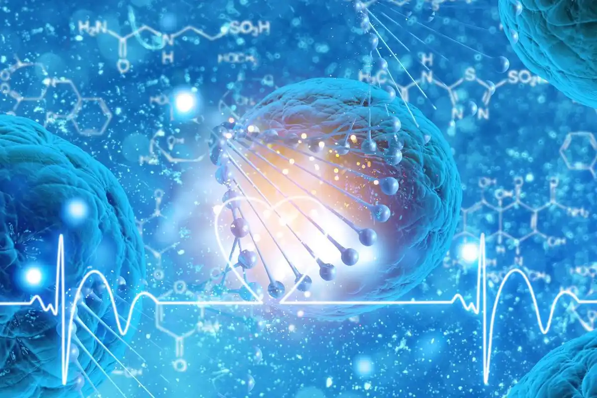 小分子肽的特点功效及作用