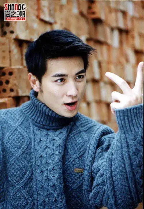 演过的电视剧  保剑锋(jeff bao),1975年11月3日出生,中国内地男演员