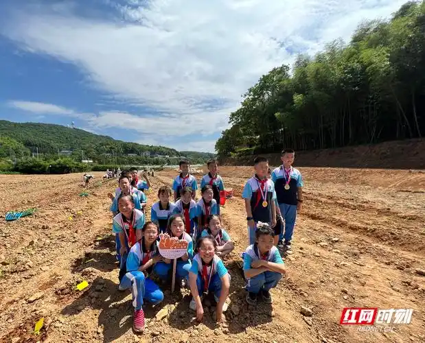 长沙市实验小学梅溪湖学校(长沙市实验小学梅溪湖学校派位)