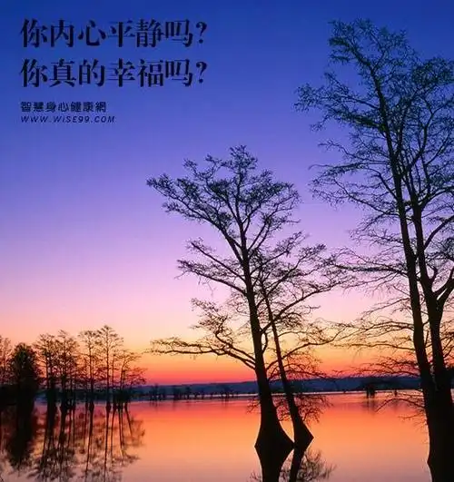 你内心平静吗你真的幸福吗