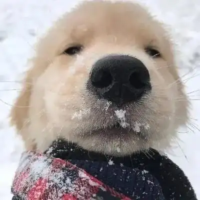 头像沙雕图片2023最火爆