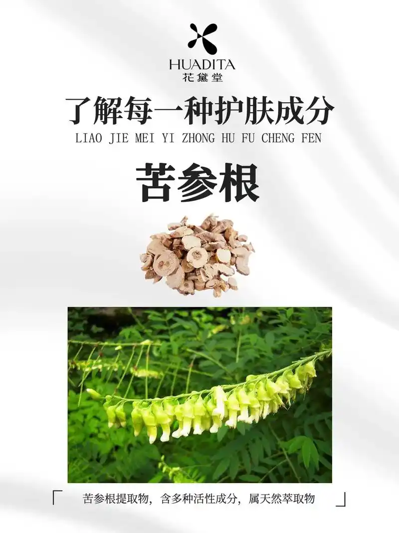 6015了解每一种护肤成分7815苦参根提取物.