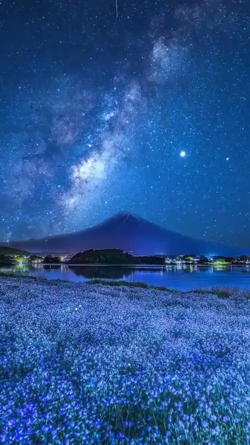 我在等一场微风,等黎明停在星辰,等我坠入星空,等你,钟意我.