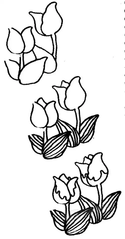 郁金香简笔画怎么画