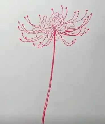 红色彼岸花简笔画步骤 花朵简笔画