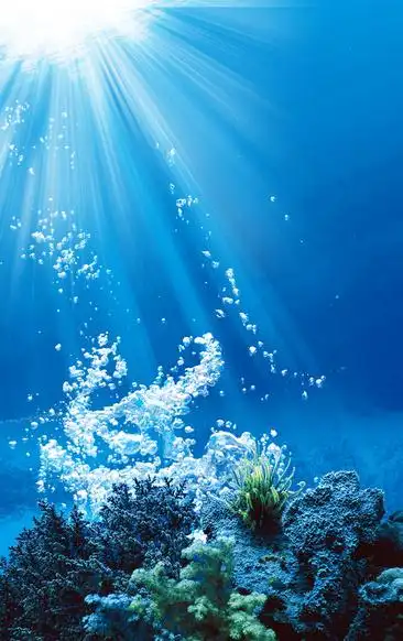 蓝色海底h5背景