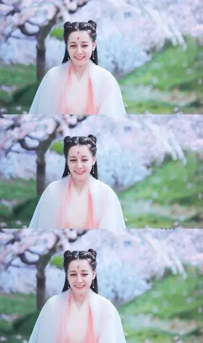 饭修/迪丽热巴三生三世枕上书白凤九青丘女君帝姬四海八荒第二绝色