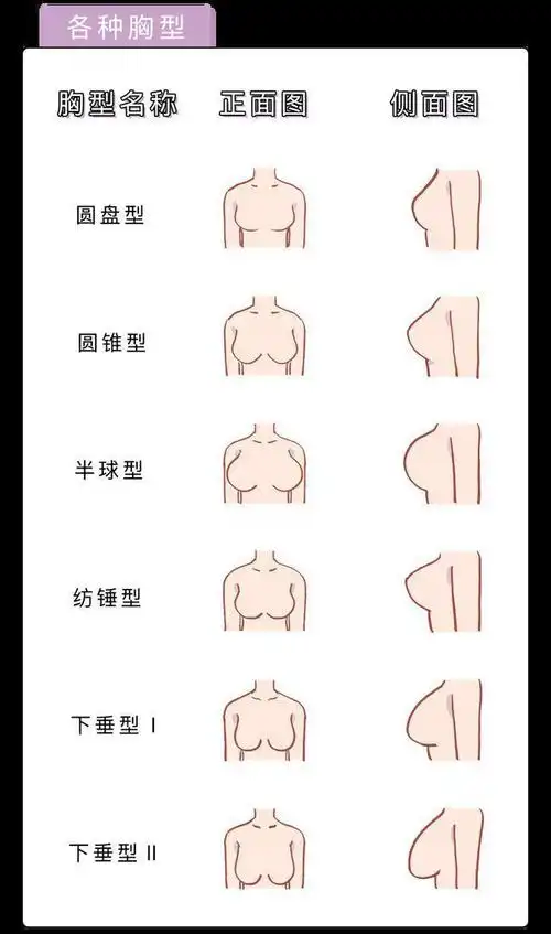 刘燕酿制女人胸部真的能二次发育吗女性乳房发育的五个阶段