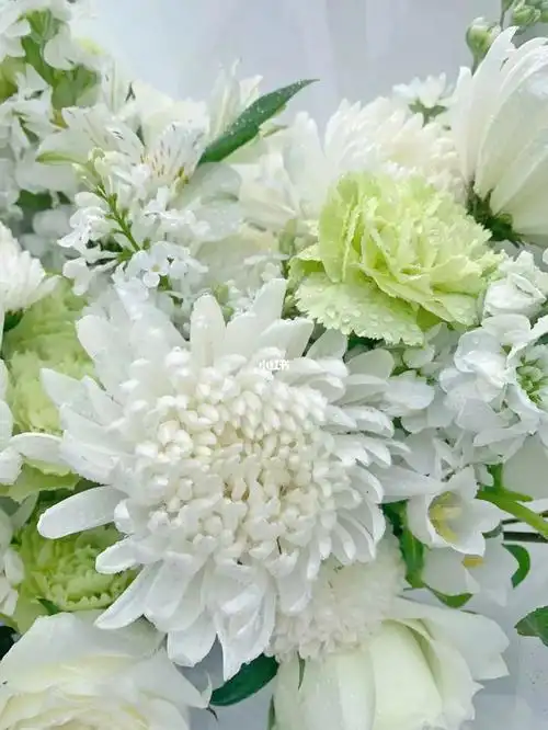 白色祭祀花束清明节花束