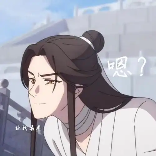 天官赐福谢怜表情包