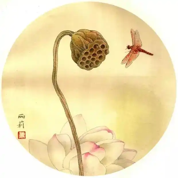 一组清新淡雅的工笔花鸟欣赏