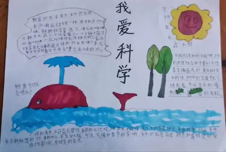 《快乐读书吧》之科普小报