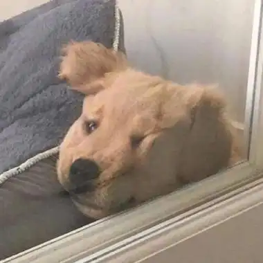 特别沙雕的头像笑到窒息