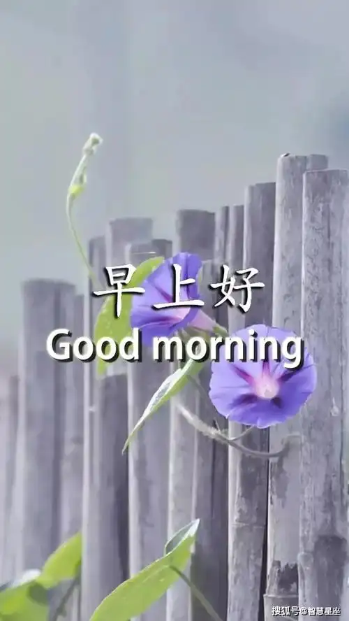 周一最新的早安早上好图片带字带祝福语 唯美早上好问候语图片带字