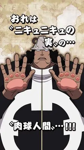 壁纸海贼王巴索罗米熊