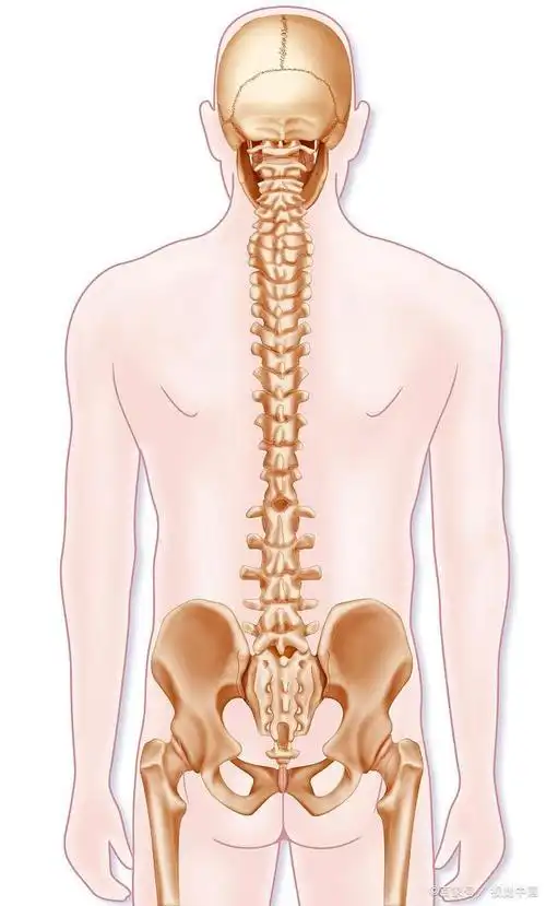 腰间盘突出的常规保守治疗方法