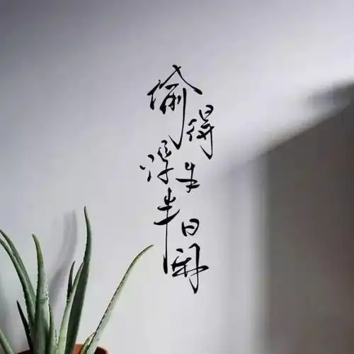 文艺范满满的朋友圈背景图