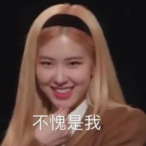 表情包沙雕rosé朴彩英系列