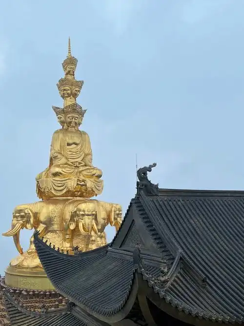 峨眉山  #四川  #峨眉山旅行  #旅游  #拜佛