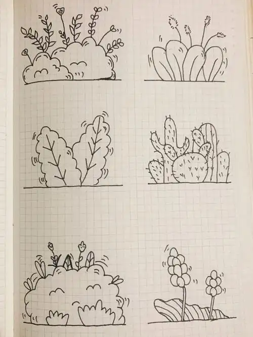 简笔画花草