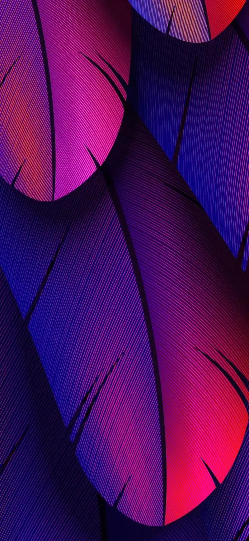 超酷个性高清全面屏壁纸