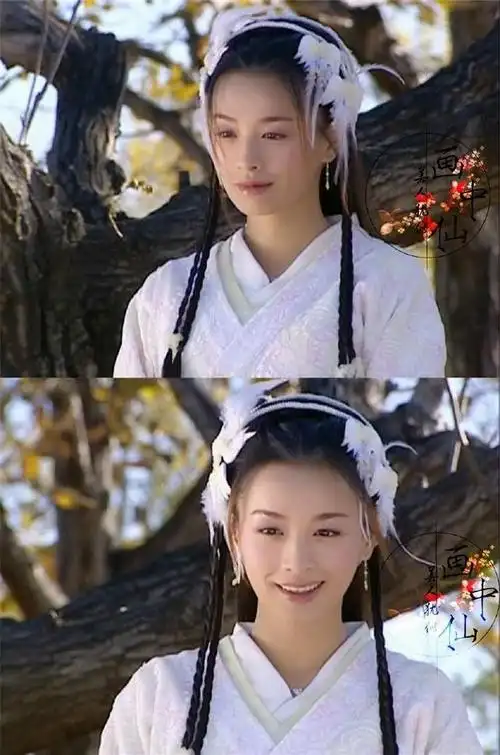 张庭电视剧最美古装(张庭我年轻时古装美)7