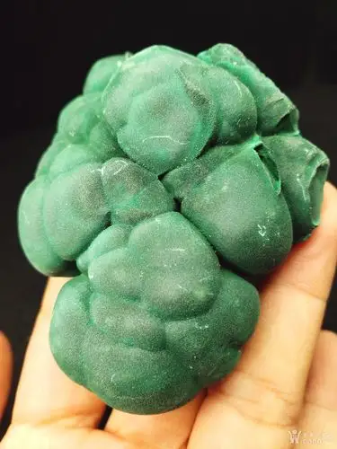 球状孔雀石原石矿物晶体标本矿晶矿标摆件观赏石奇石