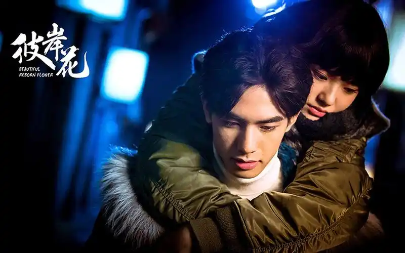 电视剧彼岸花剧照图片