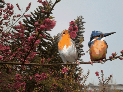 400_300gif 动态图 动图