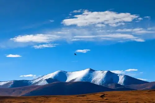巴颜喀拉山,雪山,蓝天,白云,牦牛构成了,一副绝美的高原盛景