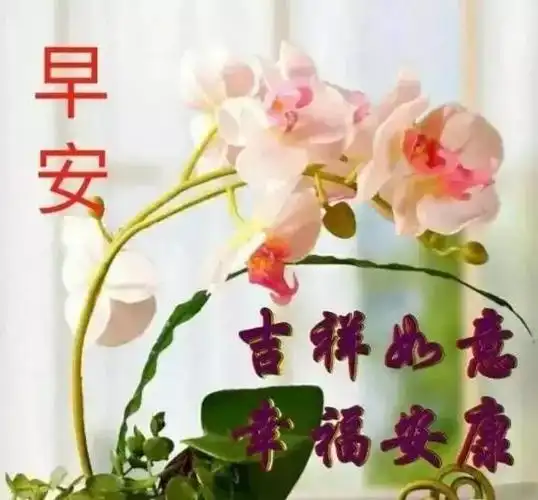 七月二十日最漂亮早上好图片大全动态表情群里大家早上好的图片祝福语