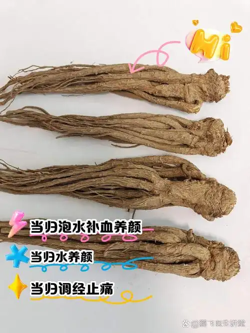 当归泡水喝有什么功效和作用