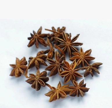 供应 八角 大茴香 香辛料