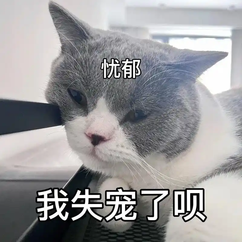 表情包|猫猫委屈.黑鼻头小猫93哄完别的小朋友了吗 什么时候 - 抖音