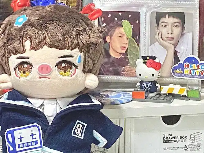 我都不知道该怎么追星了#追星  #周边  #青春有你3  #十七  #李政