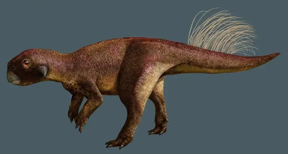 13亿年前鹦鹉嘴龙皮肤化石上发现首个恐龙肚脐