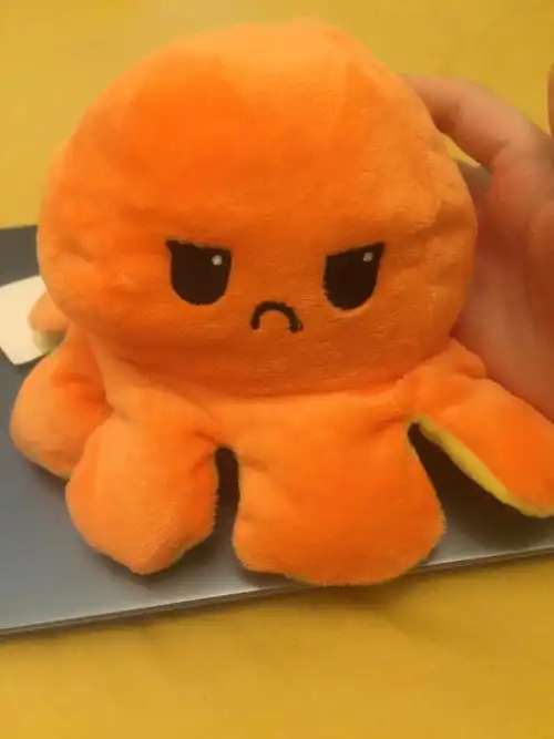 今天出门发现好多变脸小章鱼哦没有忍住买了一只