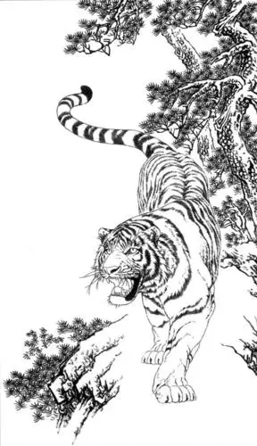 白描《老虎》手稿