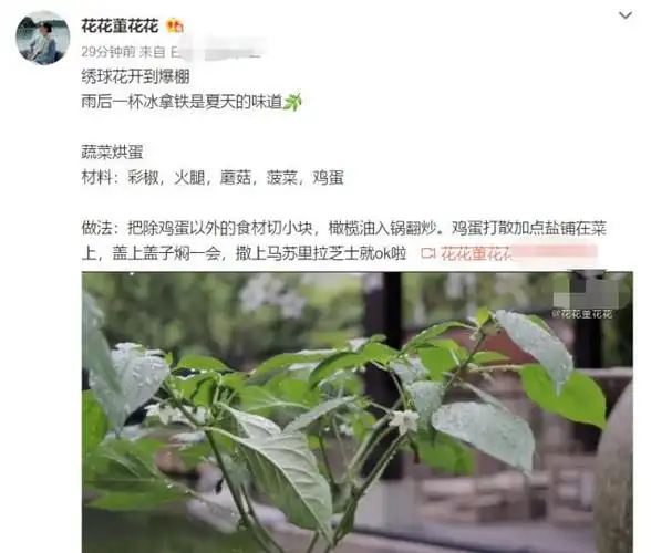 董花花更新动态回归平静生活,独自带俩娃一处细节透露婚姻状况