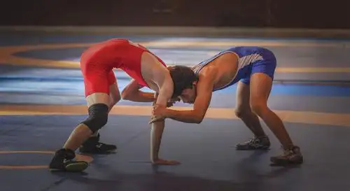 山西省第十五届运动会摔跤比赛