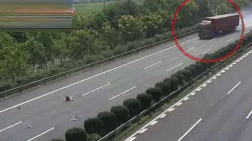 499_279gif 动态图 动图