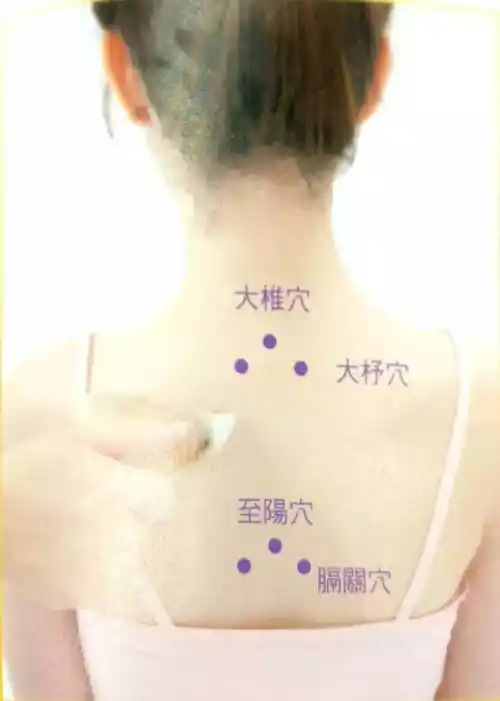 将刮痧板阔面倾斜45度,用面刮法自上而下刮拭背部督脉大椎穴至至阳穴