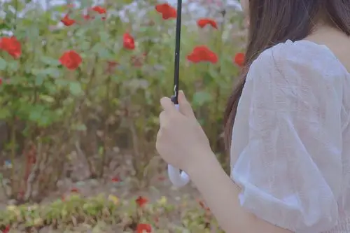 头像 壁纸 桌面壁纸 聊天背景 锁屏壁纸 ins 油画 iphone 【禁商用】