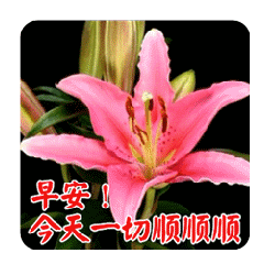 早上好问候图片动态带 早安问候语温馨短句配图_祝福