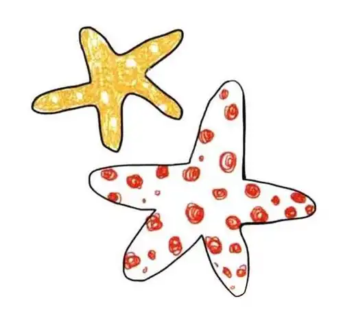 卡通海星简笔画图片彩色海星怎么画可爱多彩