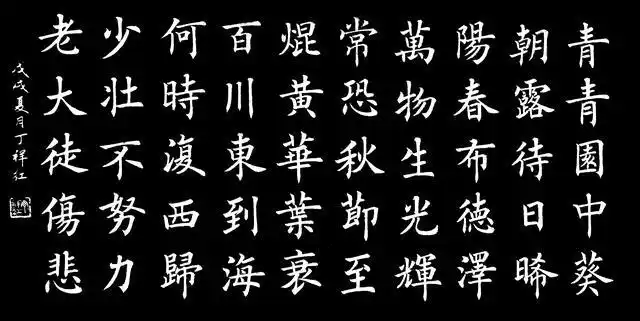 丁祥红楷书《长歌行》请你品评!