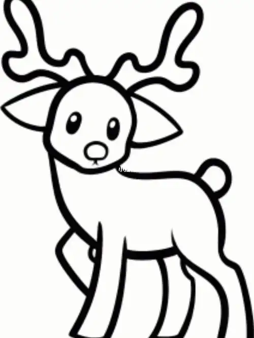 一步一步简笔画五步麋鹿